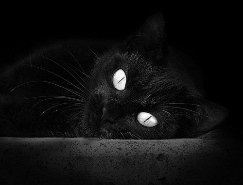 开云-绿茵指挥官加维完美控场，枪手火力全开演绎战术压制美学